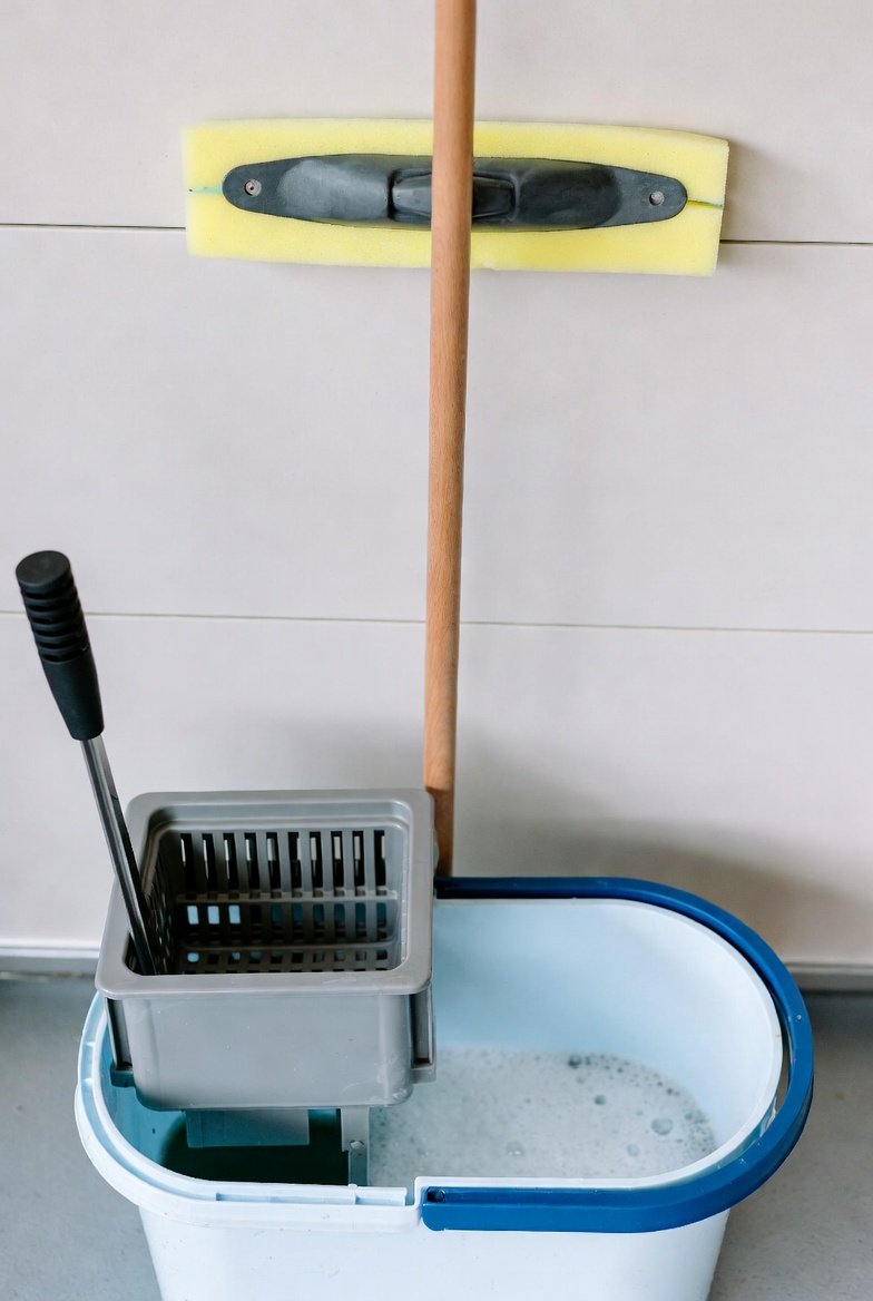 Mops